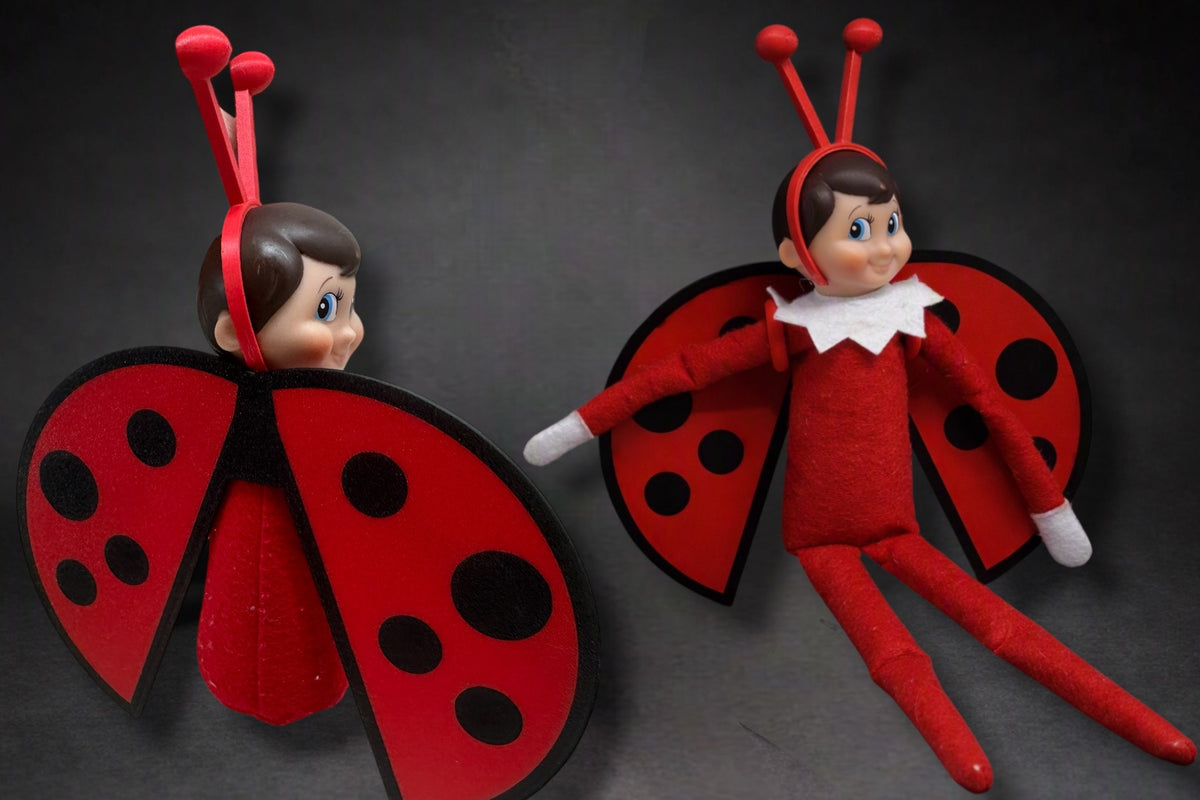 Ladybird Elf Costume