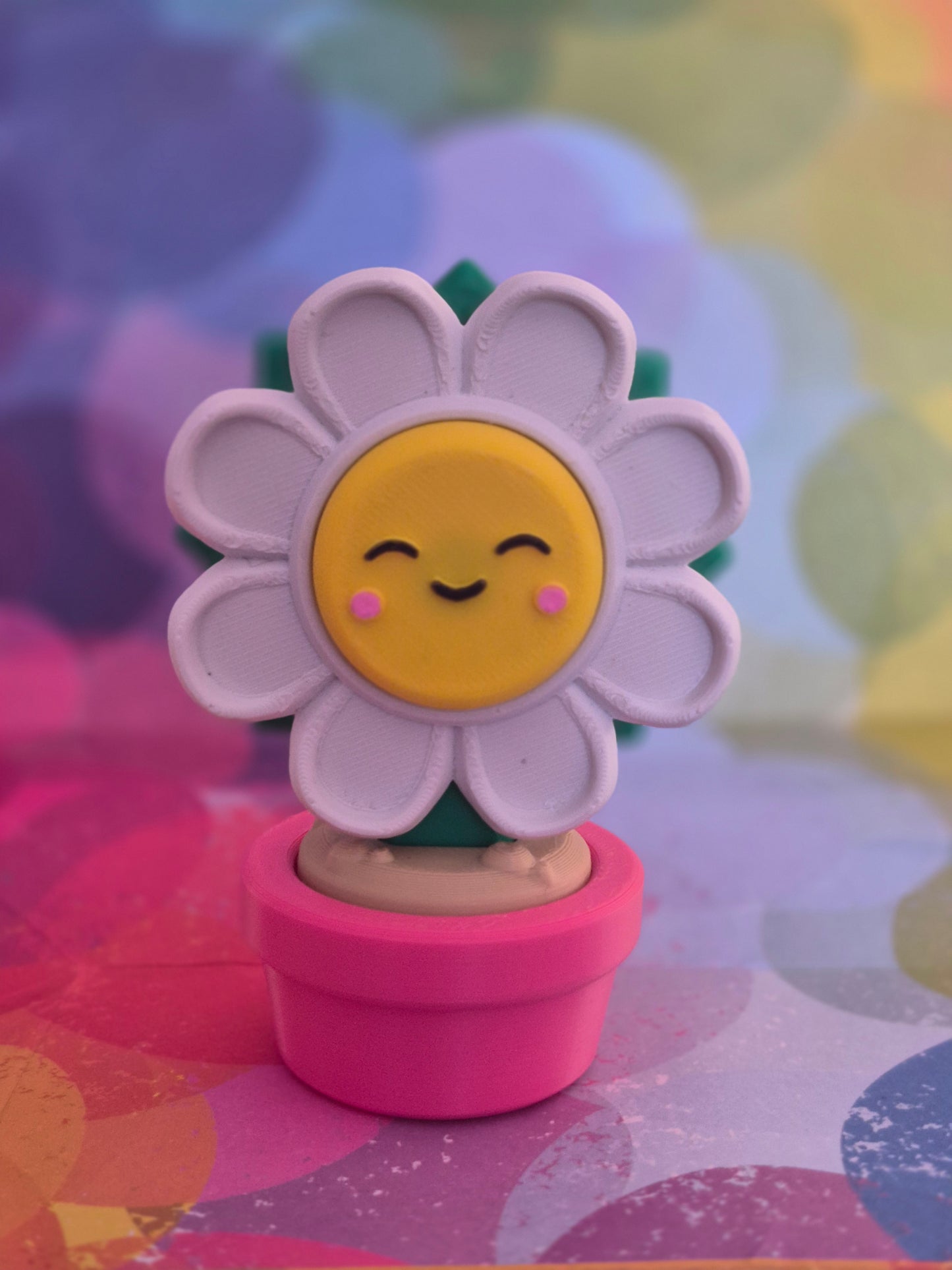 Forever Flower in Pot